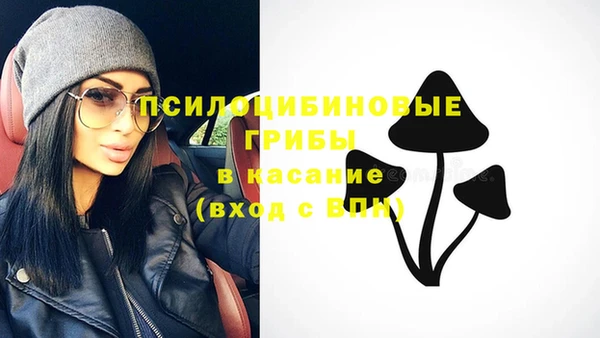 кристаллы Снежногорск
